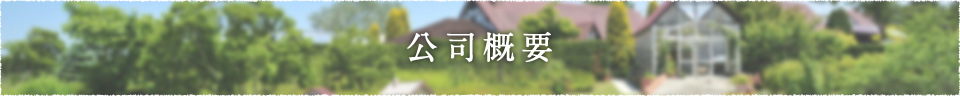 公司概要