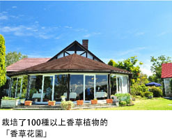 運用牧場食材提供美味料理的「Till’s餐廳」