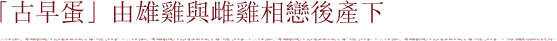 「古早蛋」由雄雞與雌雞相戀後產下