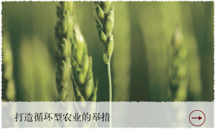 打造循环型农业的举措