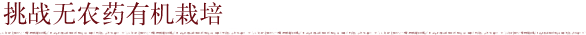 挑战无农药有机栽培