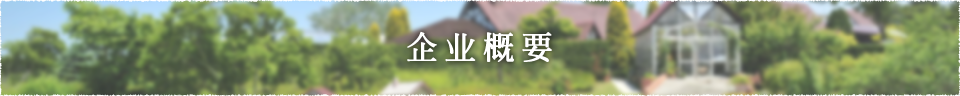 企业概要