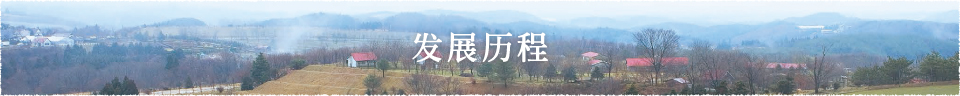 发展历程