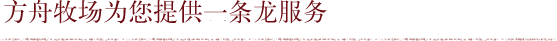 方舟牧场为您提供一条龙服务