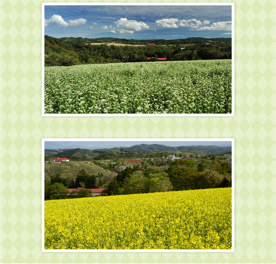 光辉之丘 展望台