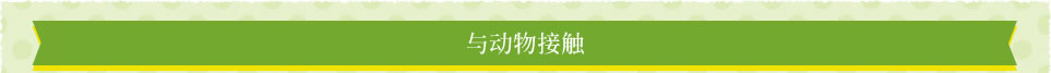 与动物接触