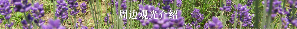 周边观光介绍