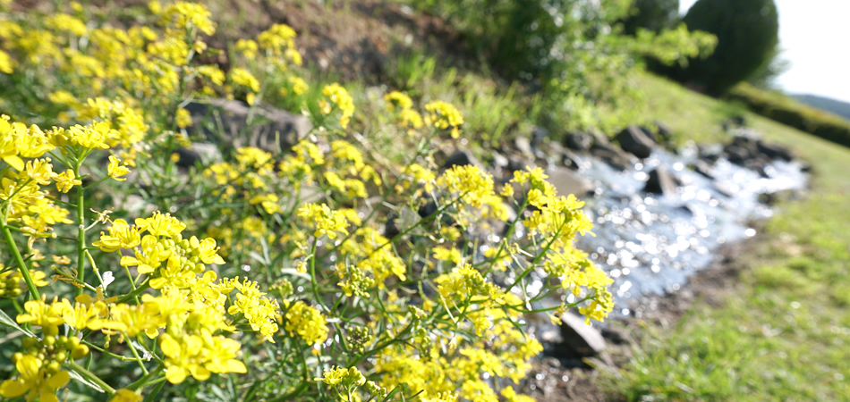 スタッフ・インタビュー