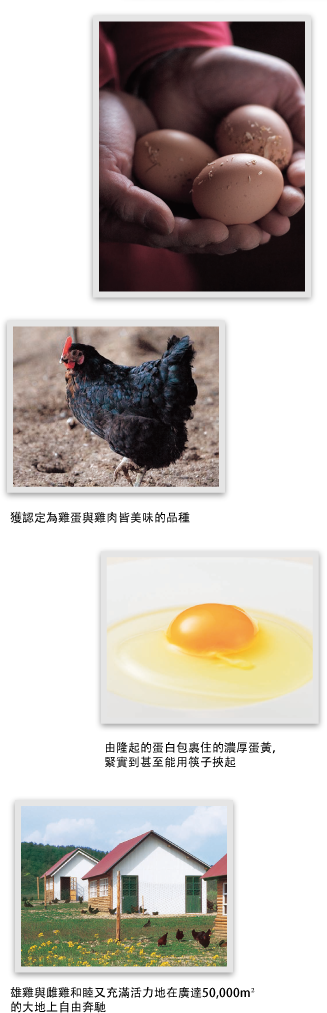 獲認定為雞蛋與雞肉皆美味的品種 由隆起的蛋白包裹住的濃厚蛋黃，緊實到甚至能用筷子挾起 雄雞與雌雞和睦又充滿活力地在廣達50,000m²的大地上自由奔馳