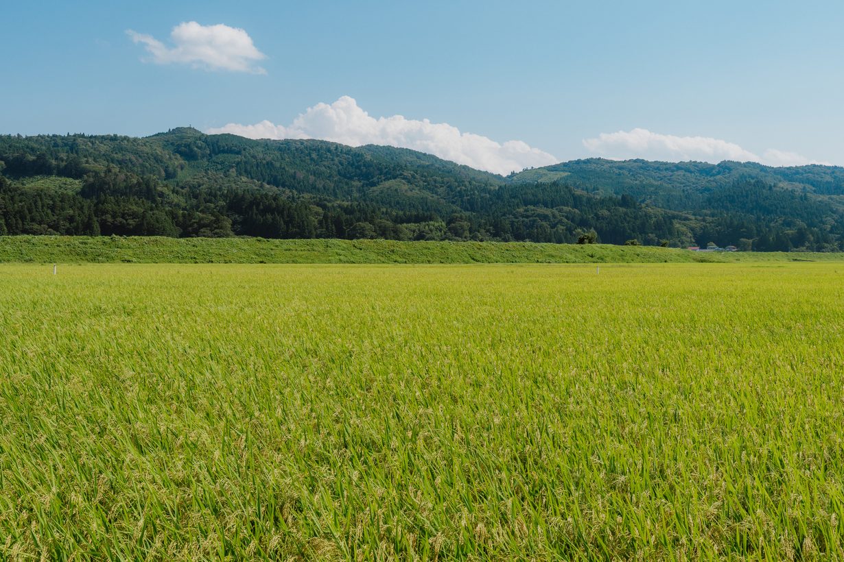 里地・里山保全