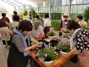 花とハーブの寄せ植え教室