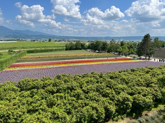 圃場の魅力