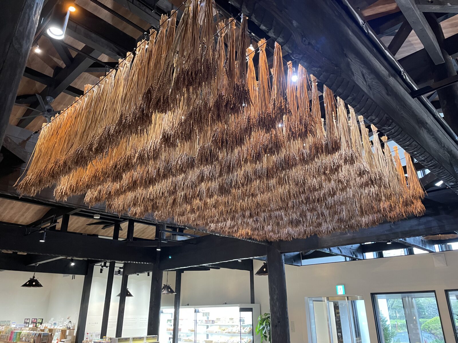 パンやお菓子で使っている小麦のこと知っていますか？