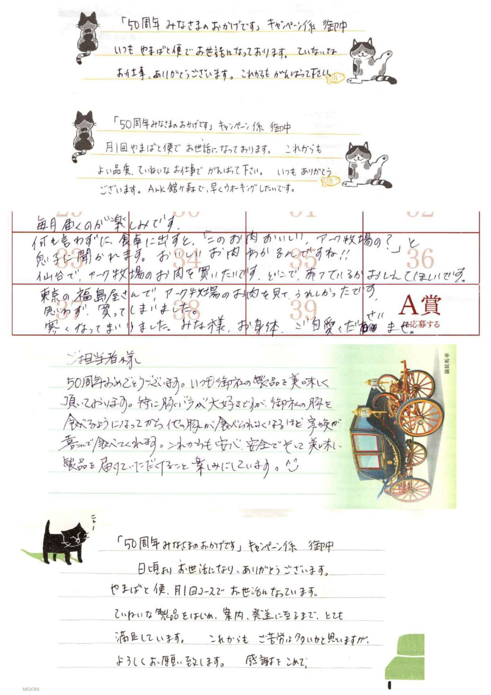 沢山のお客様の声、届いています！