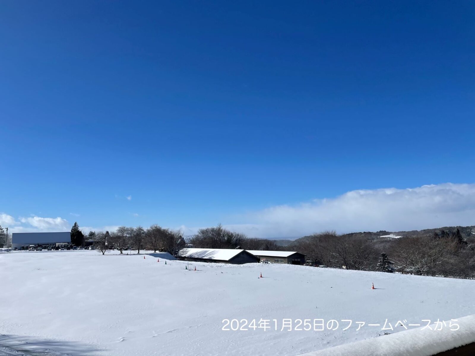 春が待ち遠しいですね。新生活に定期便はいかがですか？