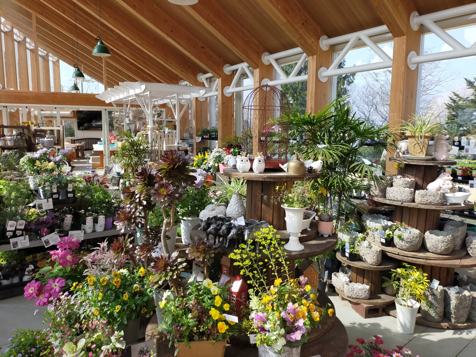 春本番！ガーデニングを始めよう