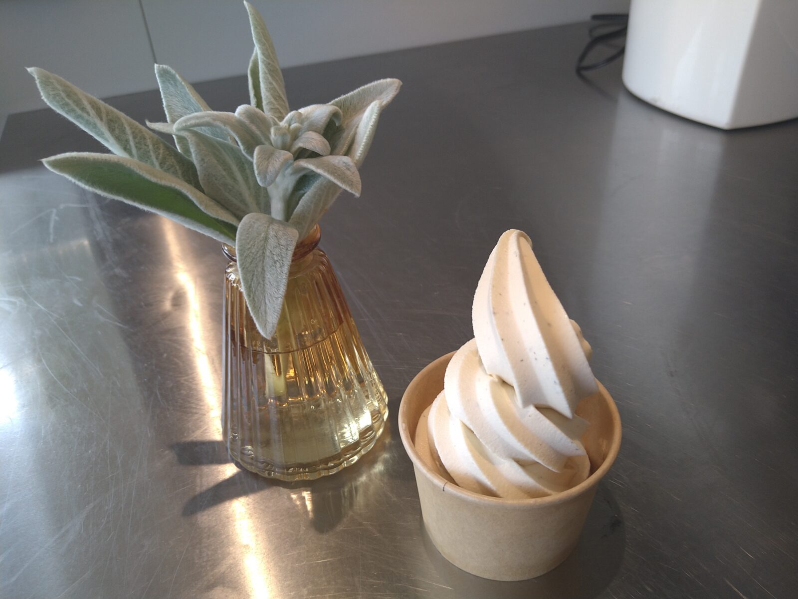 ラベンダーソフトクリーム販売中です☆