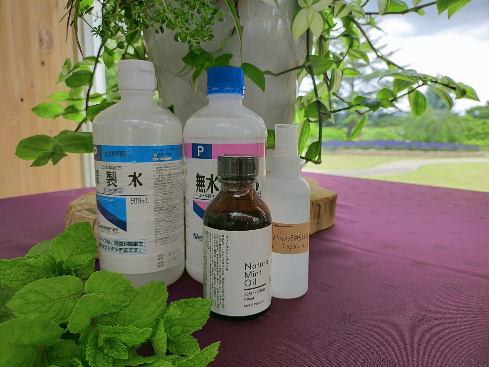 手作り虫除けスプレーワークショップ始まります！