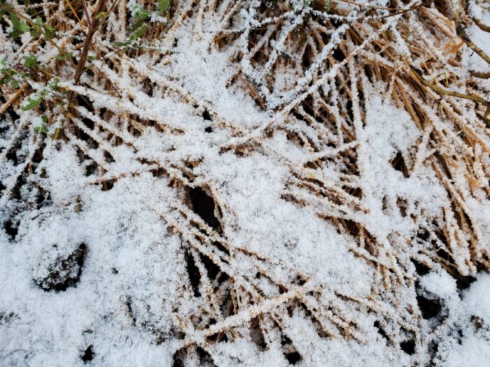 冬季の作業で気を付けている事、心がけている事など。