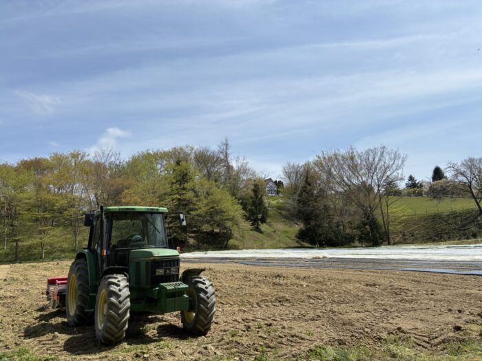 野菜づくりに向き合って