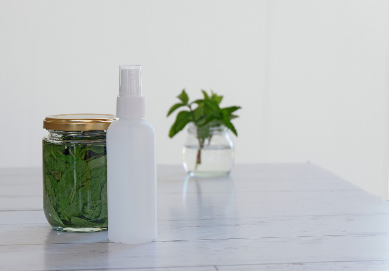 ナチュラルな力で、夏をさわやかに