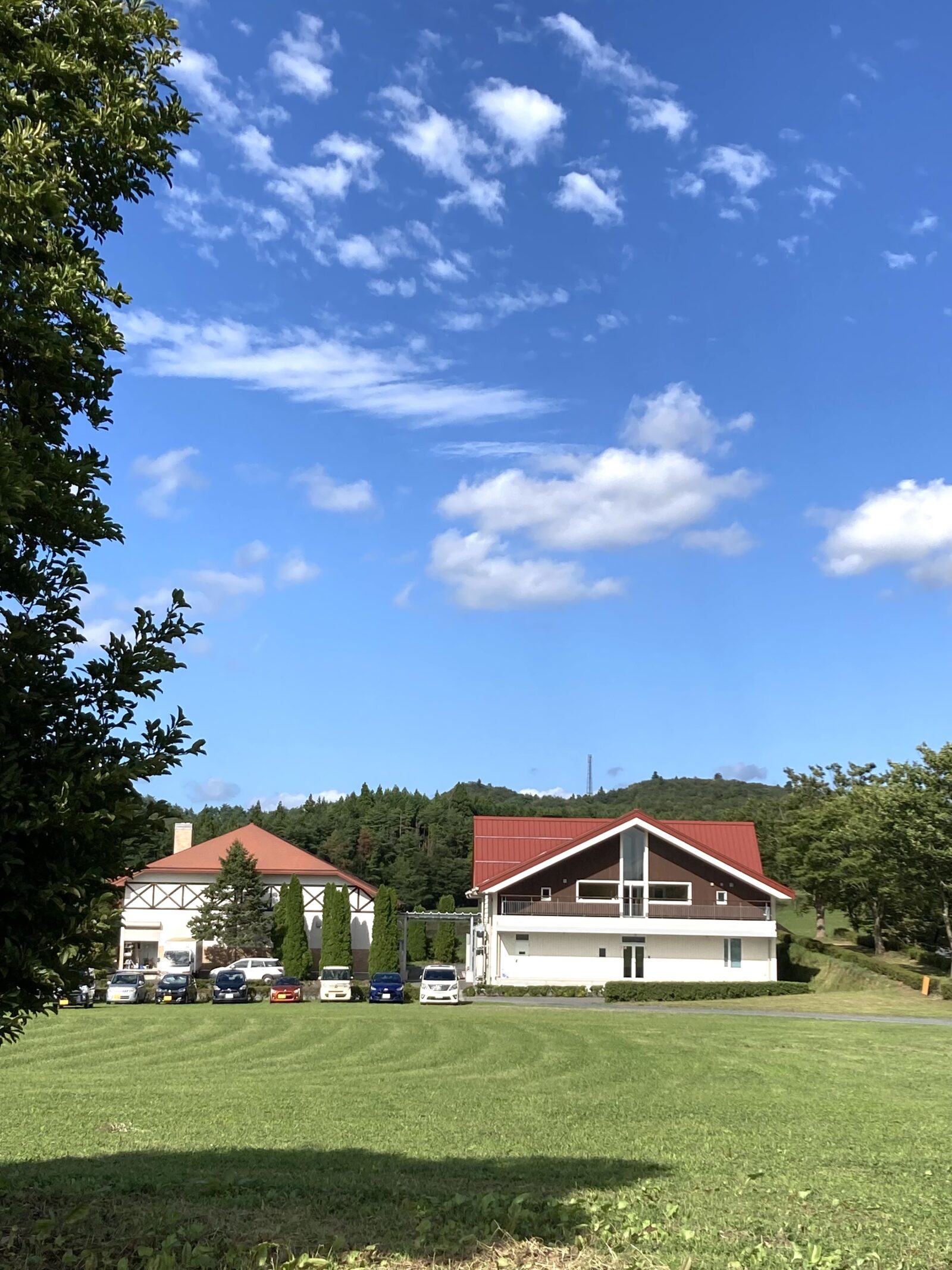 初めまして、よろしくお願い致します！