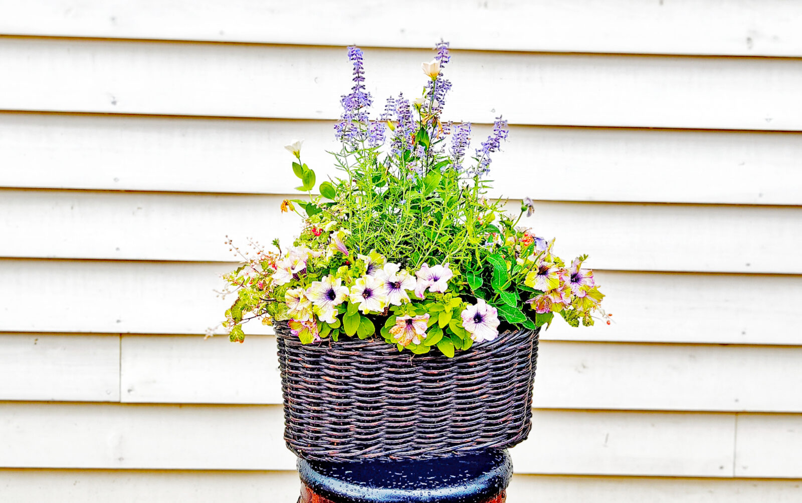 12月14日(日) 開催【お花の寄せ植えギャザリング教室】