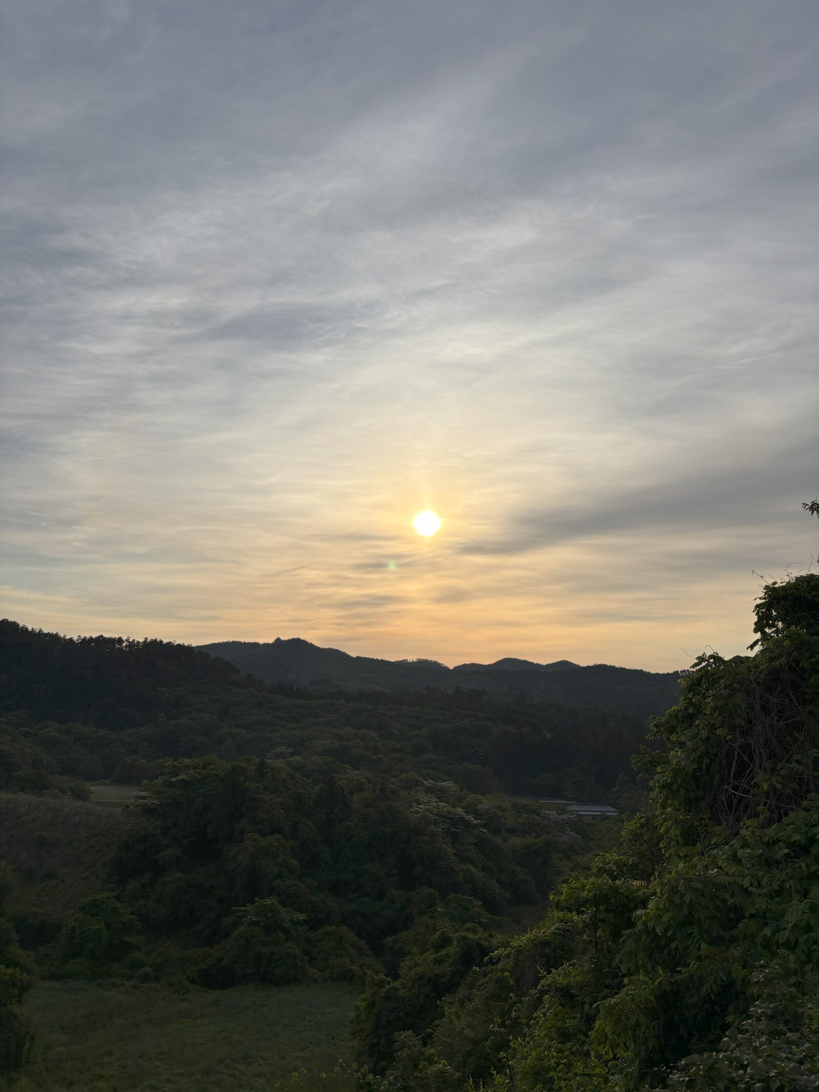 館ヶ森高原の朝霧に包まれて ― 新しい日々のはじまり