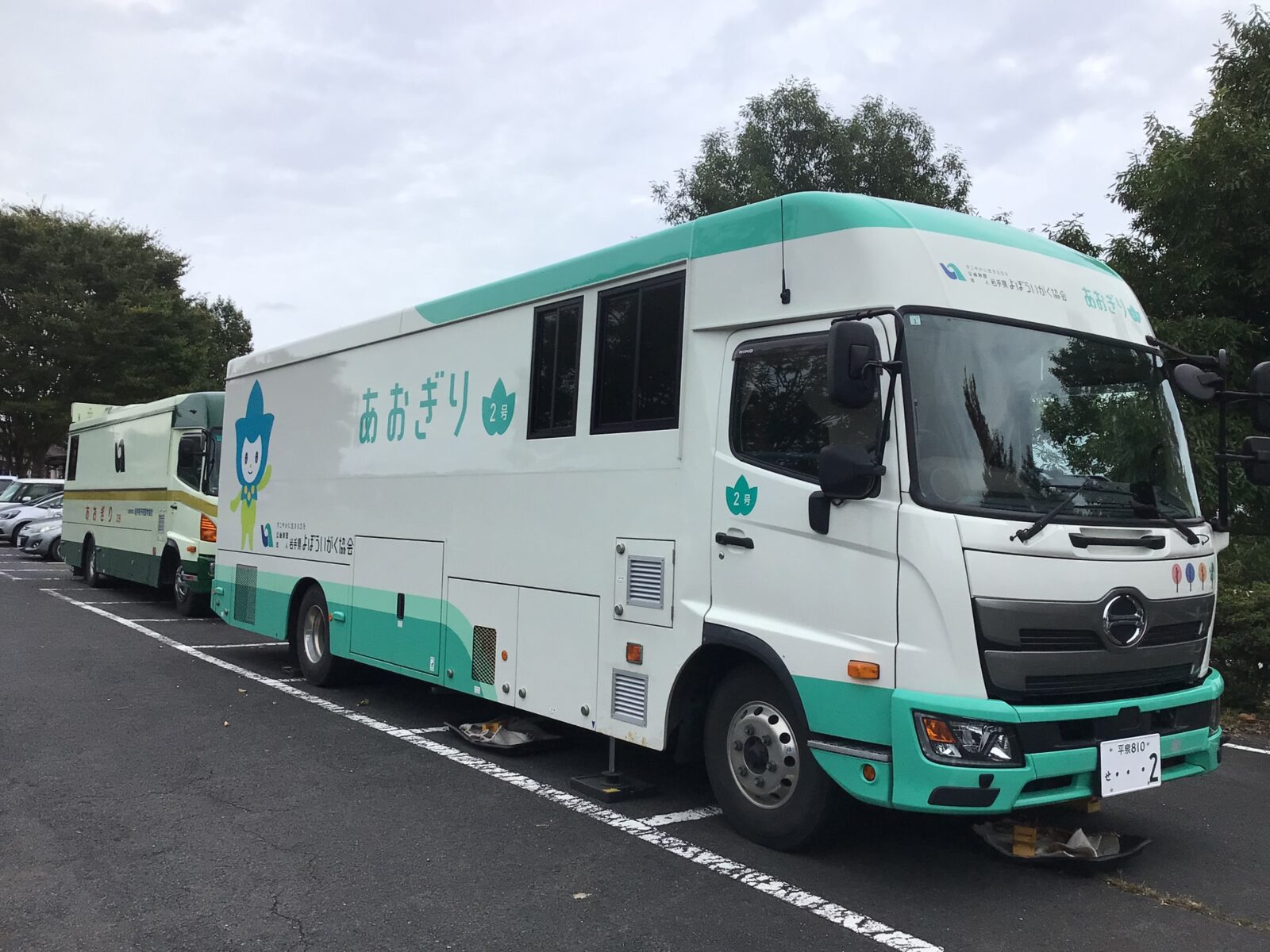 今日は健康診断