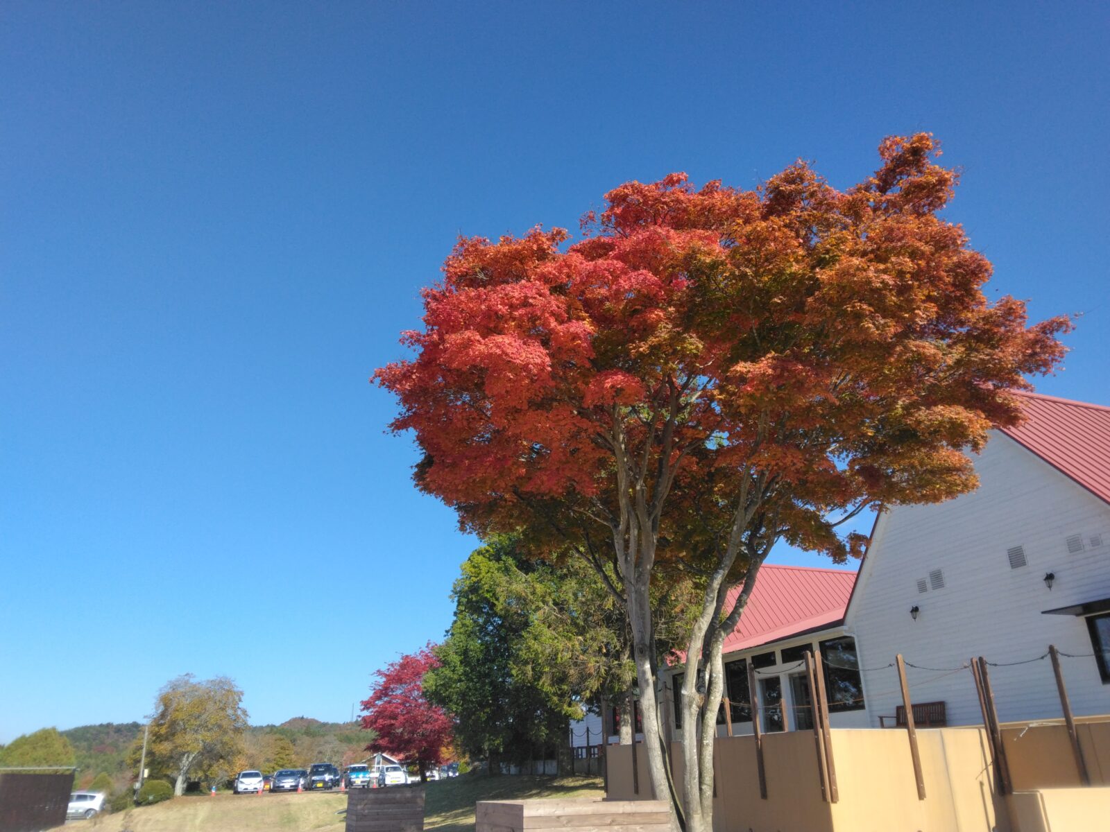 季節の変わり目に、私が気をつけていること