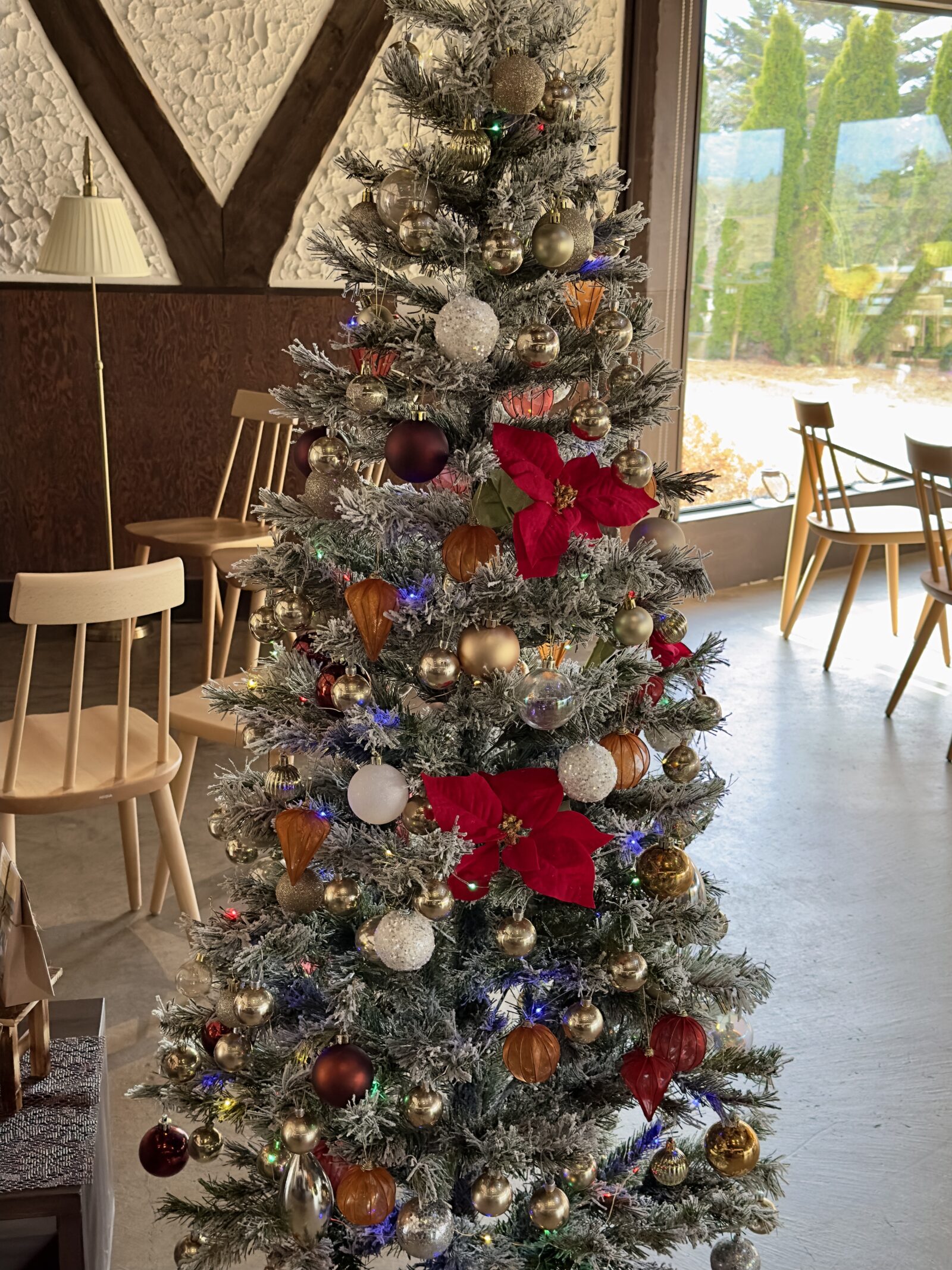 ティルズの冬季営業と定休日について