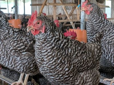 今年も残りあとわずかですね・・・