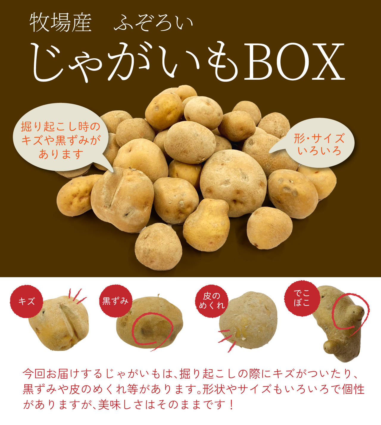 忙しい毎日に〜岩手の大地からの贈り物〜