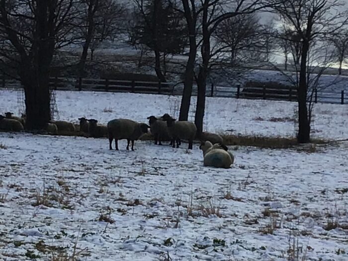 冬場のアークについて