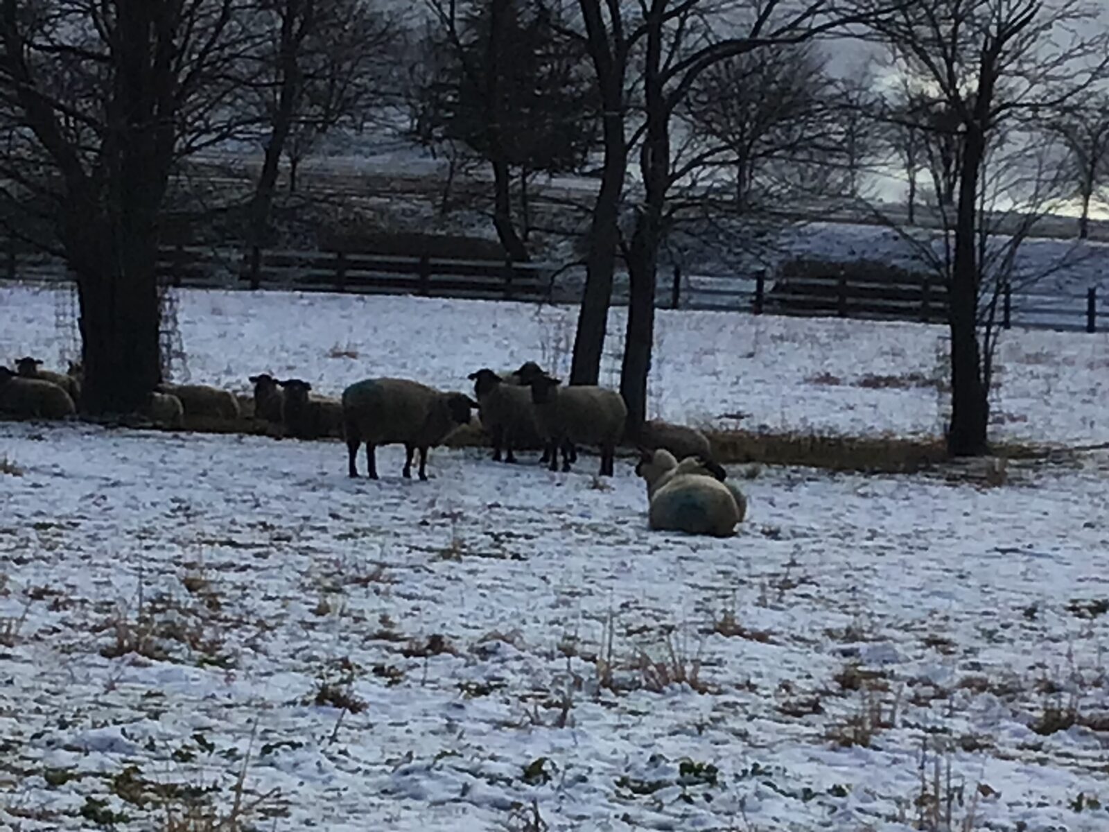 冬場のアークについて