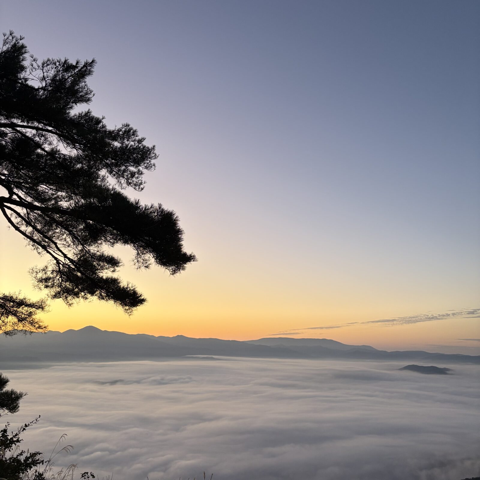 2025年ありがとうございました