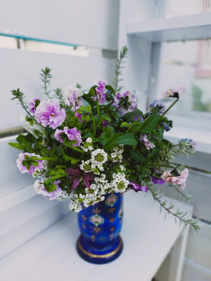 冬でも楽しめる♪花の寄せ植えギャザリング教室を開催します！
