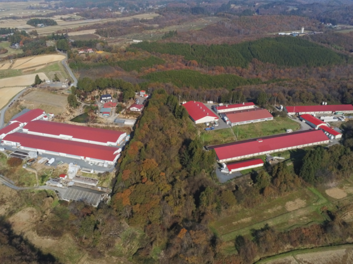 副農場長就任から一年を振り返って