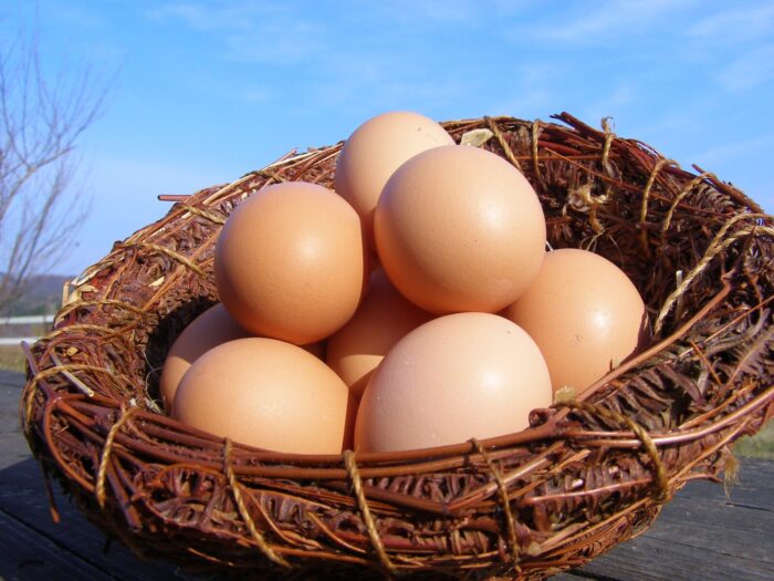 なんだか幸せな気持ちになる、寒の内たまご。