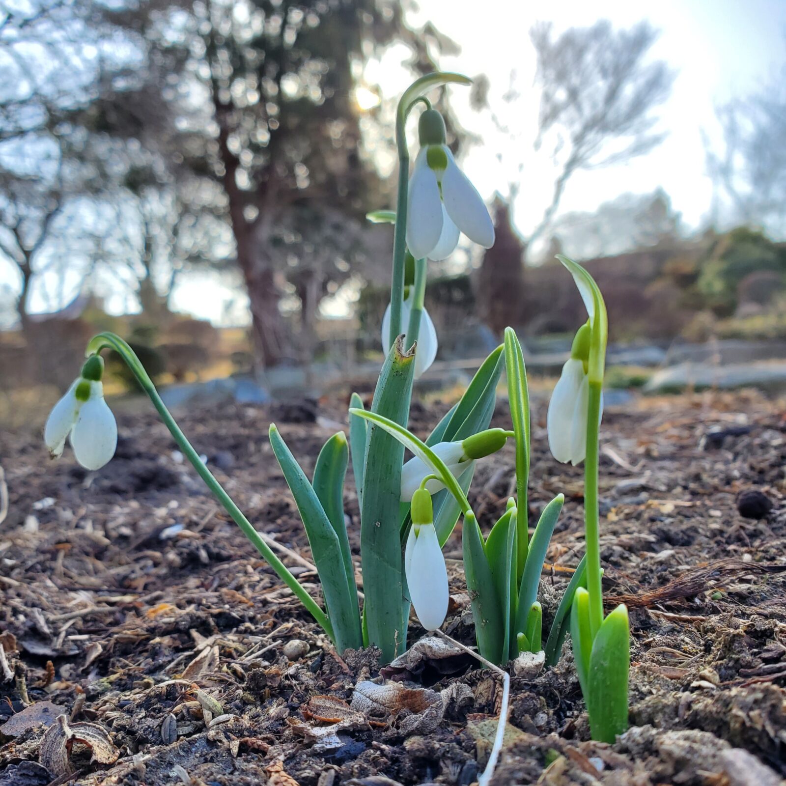 春を探しに薫る風のガーデンへ