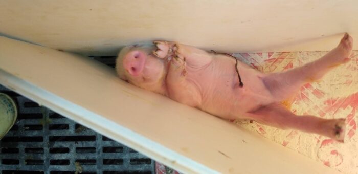 6年ぶりのブログです！