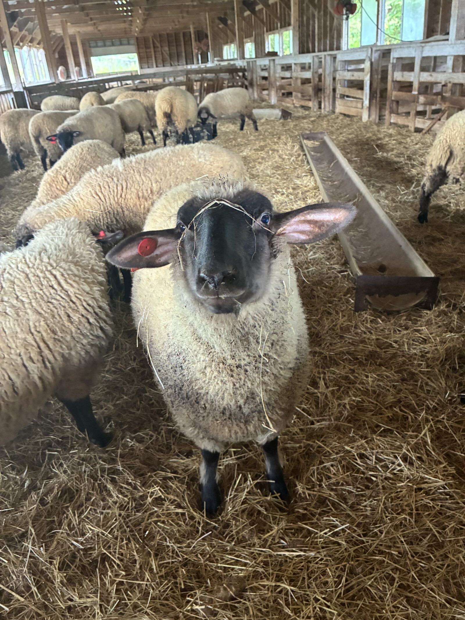 1DAYファーマーズツアー！