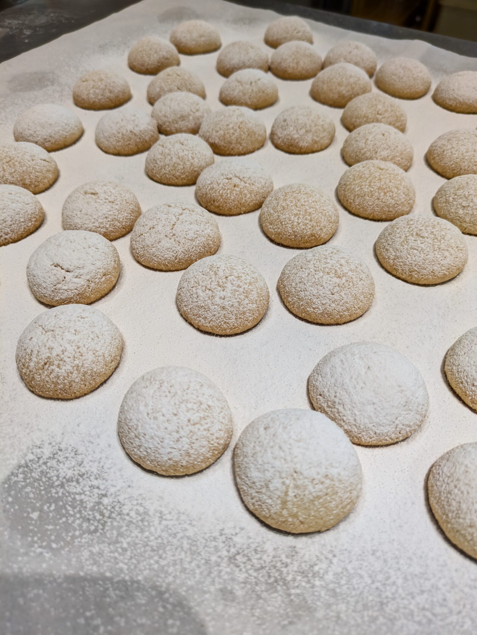 今だけの限定品！