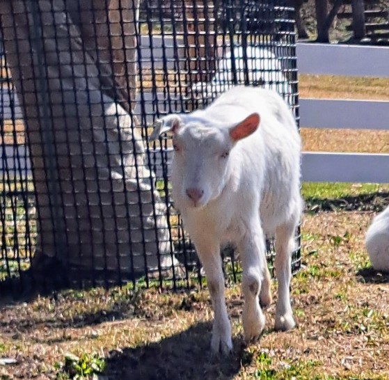 災害が起こっても対応できるように