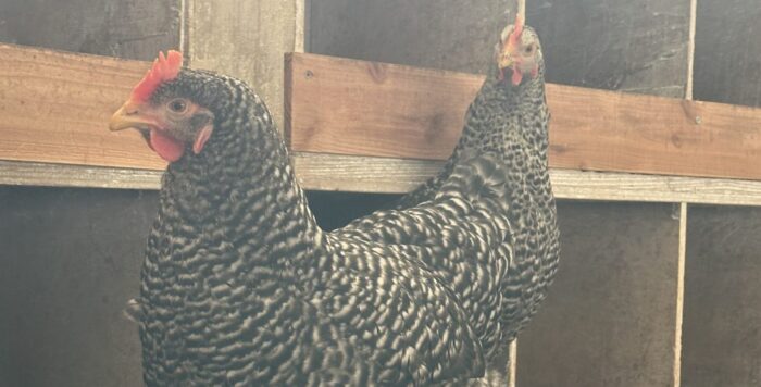 入社1年目の軌跡と、これからの挑戦