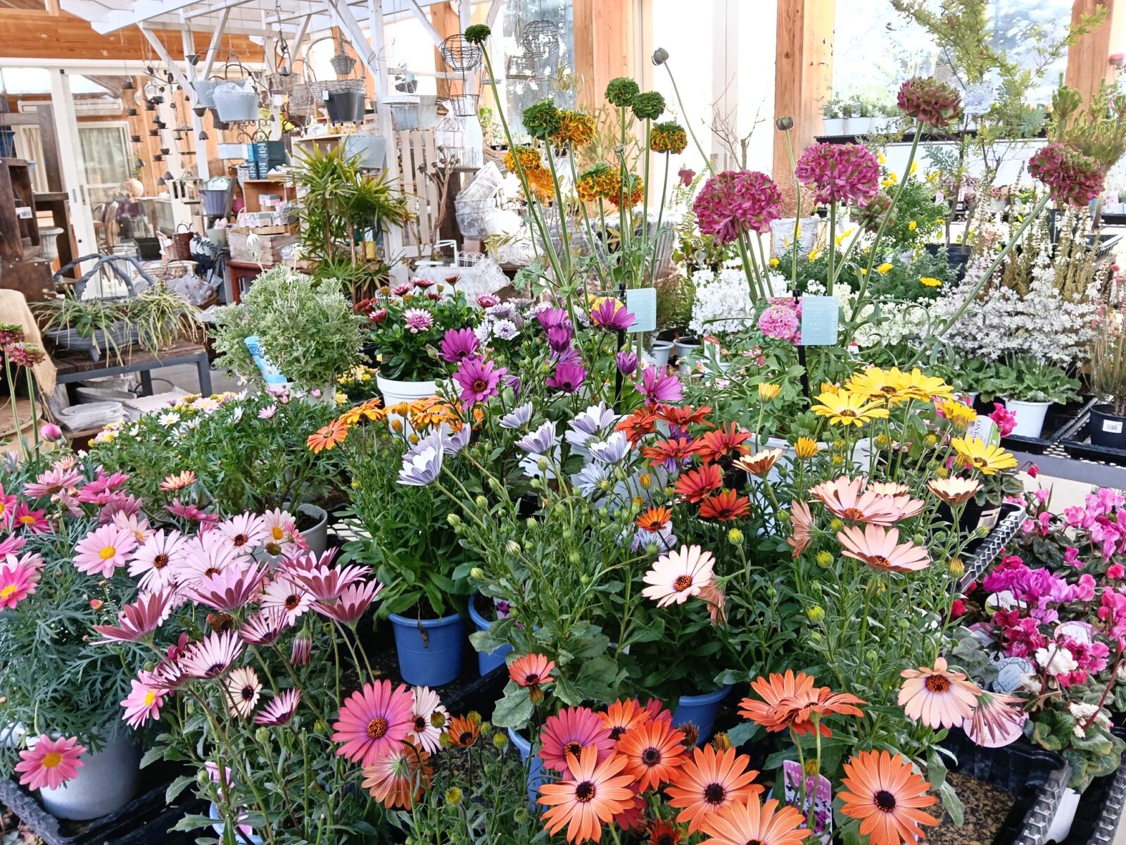 ガーデニングシーズンがやってきました！！