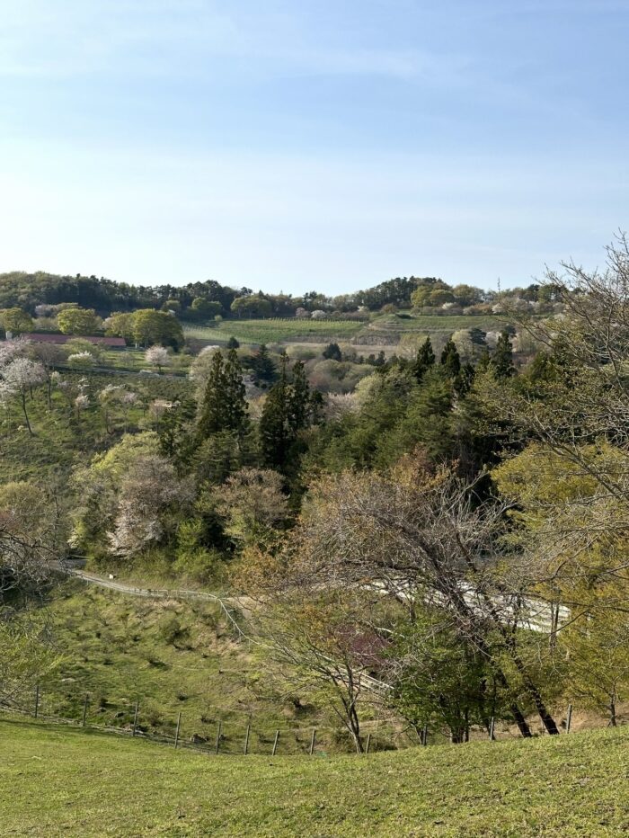 やわらかな春のはじまり