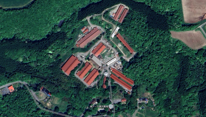 勤続10年、更なる高みへ