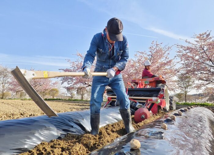 野菜づくりに向き合って