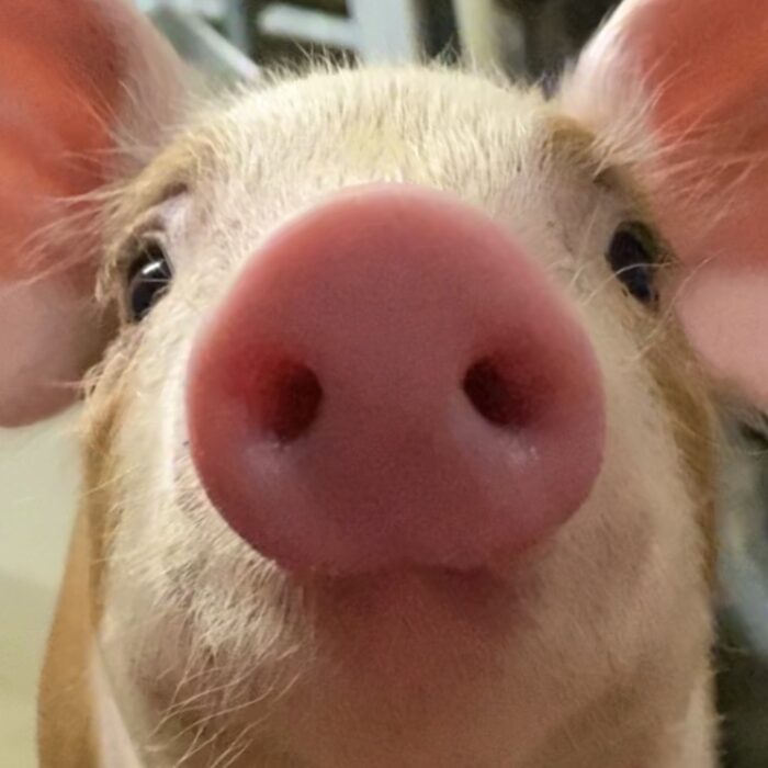 再スタートの一年